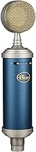 Blue Microphones Bluebird SLのサムネイル画像