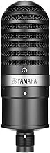 YAMAHA YCM01