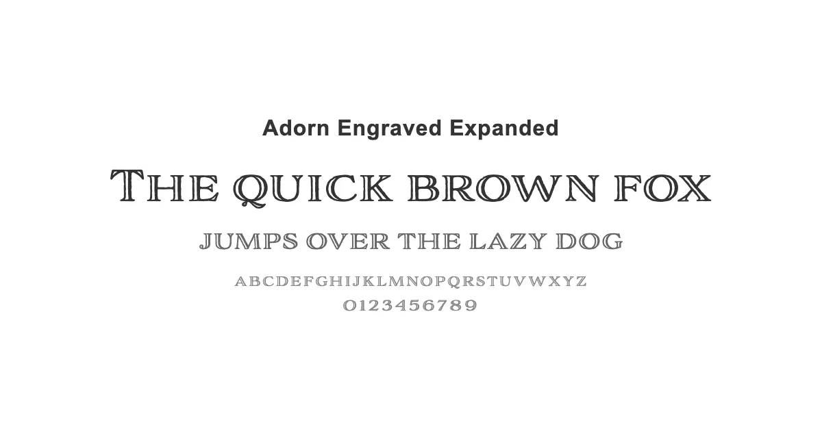 Adorn Engraved Expandedのサムネイル画像