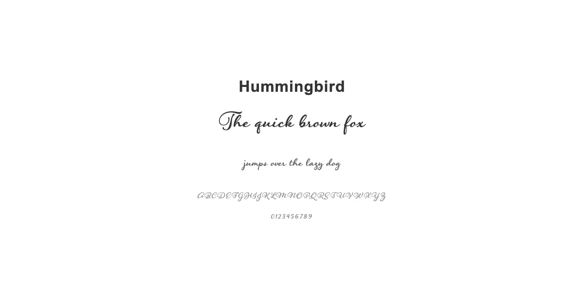 Hummingbirdのサムネイル画像