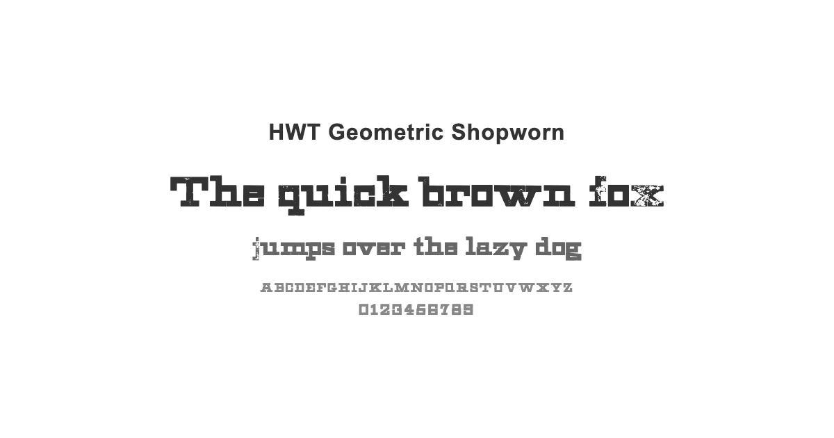 HWT Geometric Shopwornのサムネイル画像