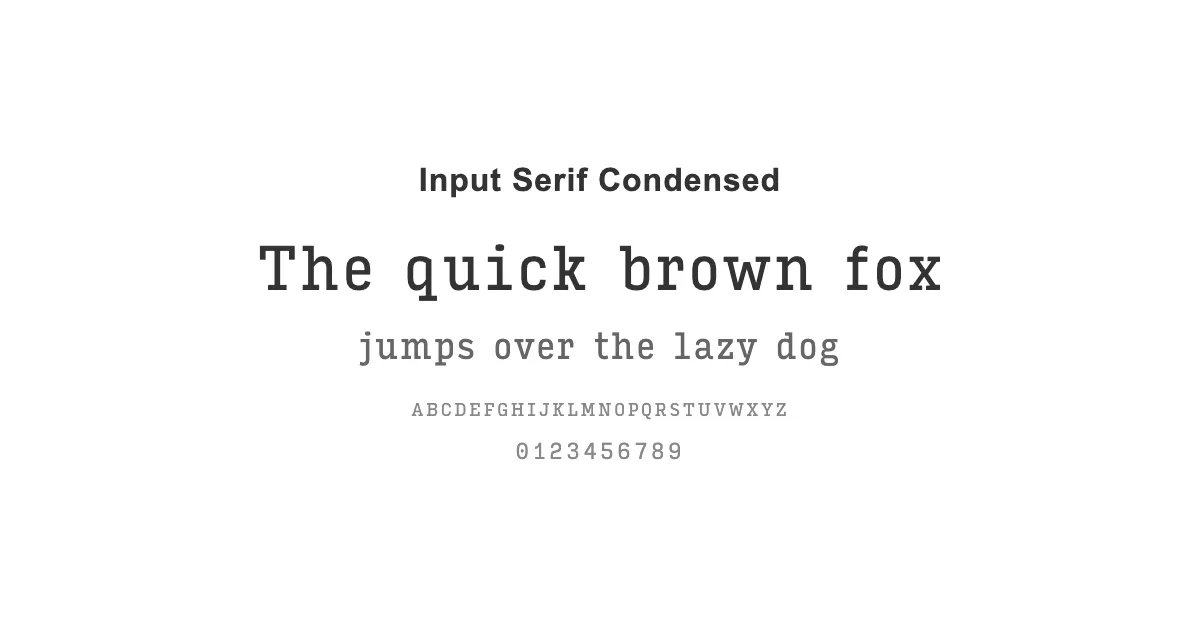 Input Serif Condensedのサムネイル画像