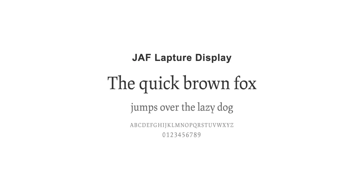 JAF Lapture Displayのサムネイル画像