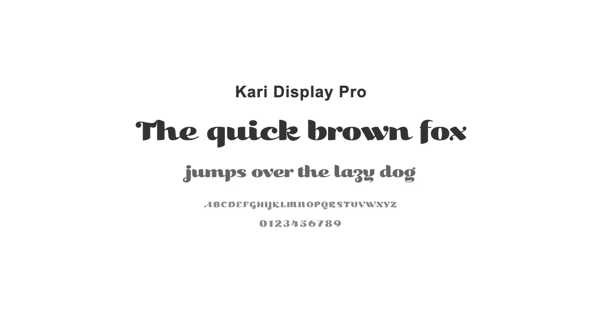 Kari Display Proのサムネイル画像