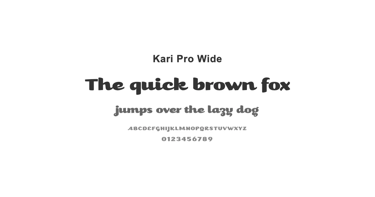 Kari Pro Wideのサムネイル画像