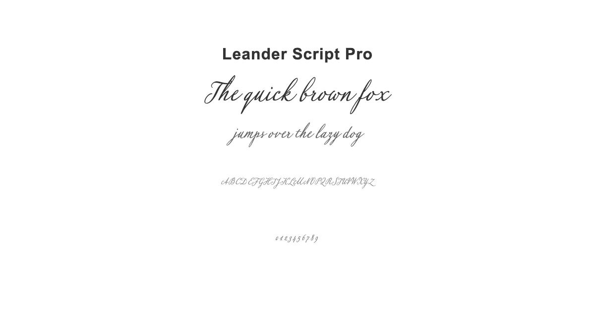 Leander Script Proのサムネイル画像
