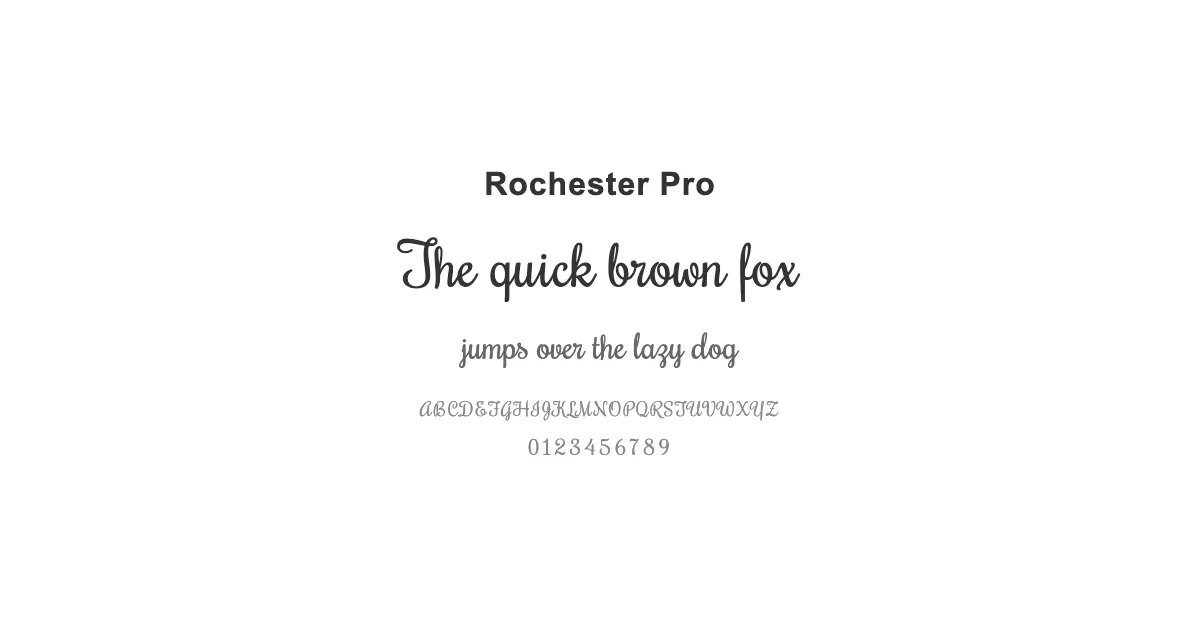 Rochester Proのサムネイル画像
