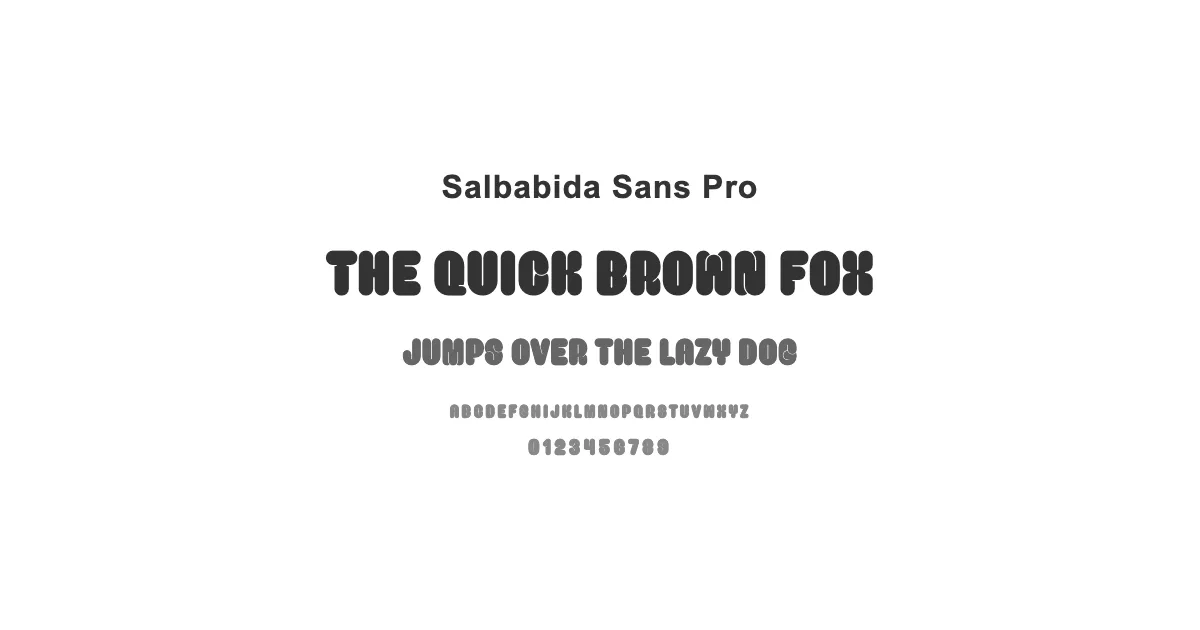 Salbabida Sans Proのサムネイル画像