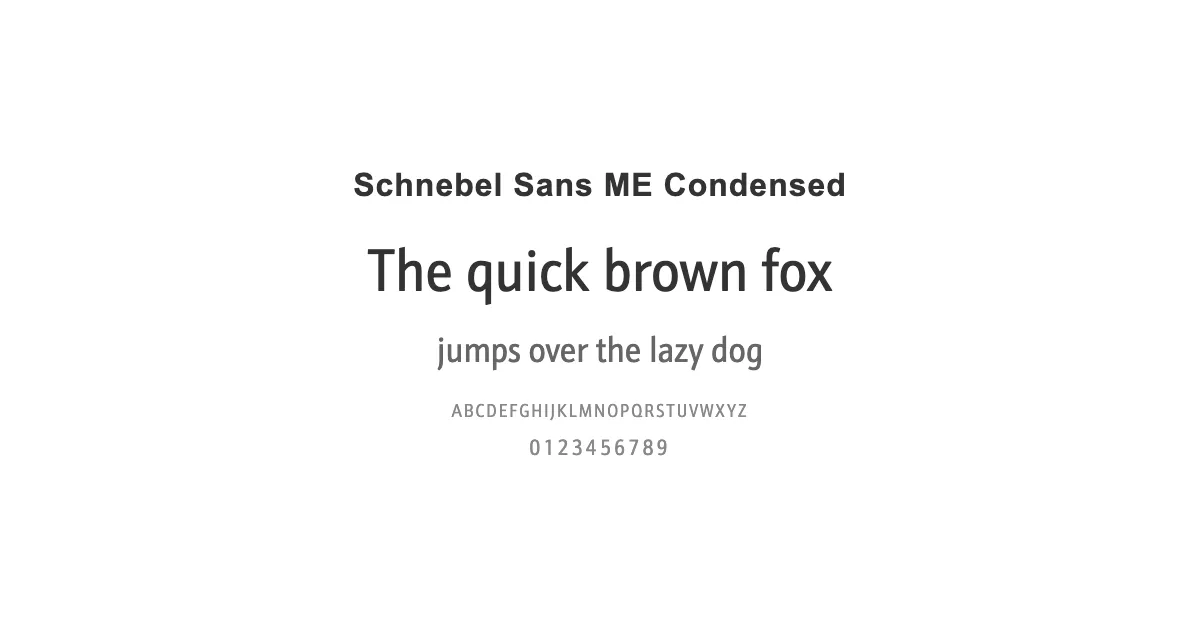 Schnebel Sans ME Condensedのサムネイル画像