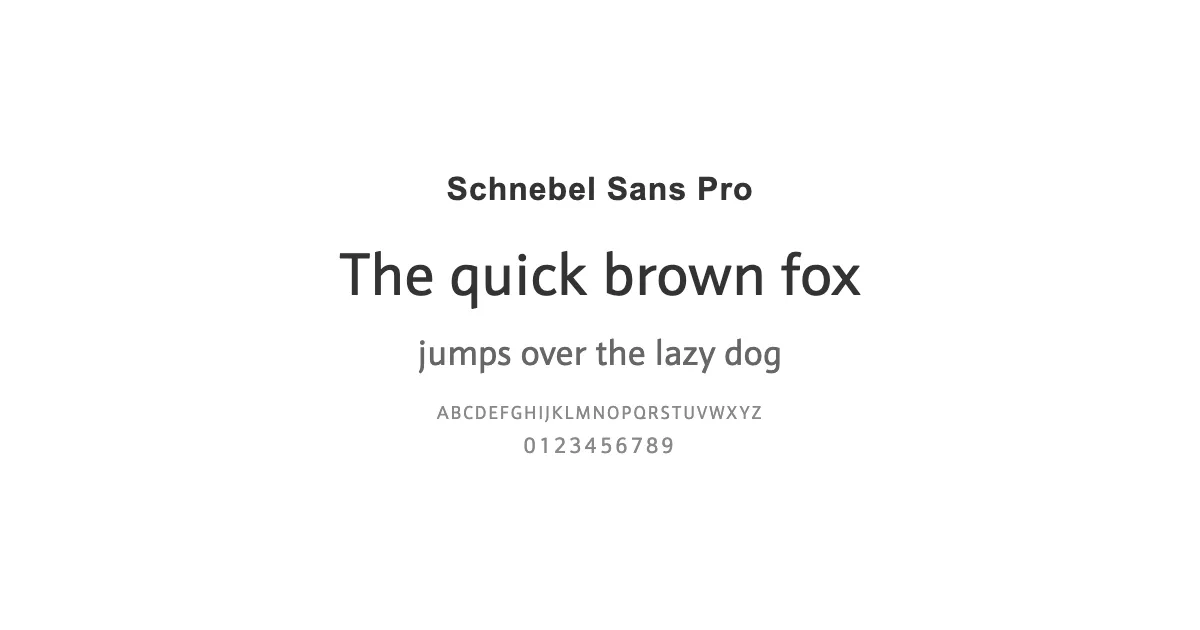 Schnebel Sans Proのサムネイル画像