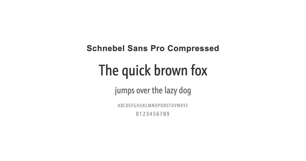 Schnebel Sans Pro Compressedのサムネイル画像