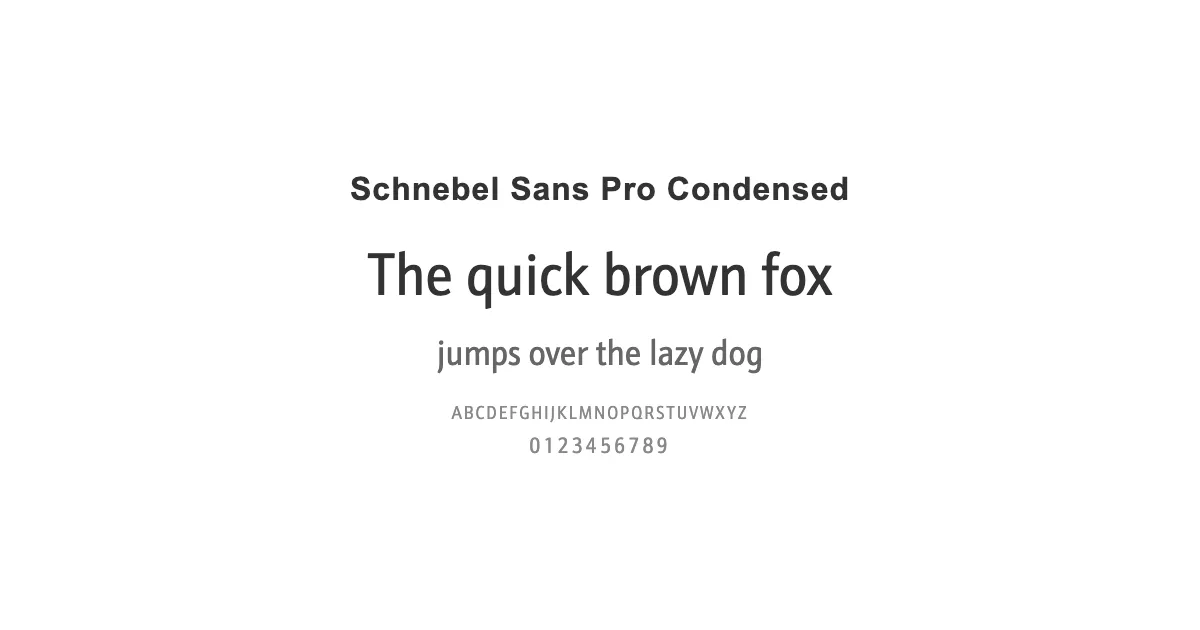 Schnebel Sans Pro Condensedのサムネイル画像