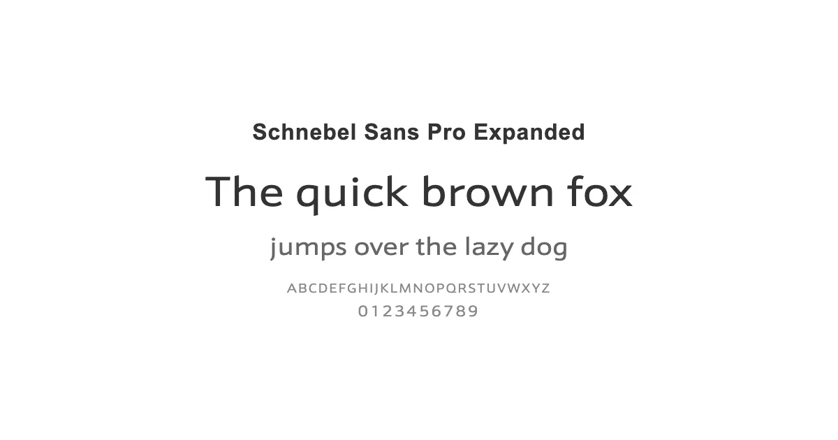 Schnebel Sans Pro Expandedのサムネイル画像