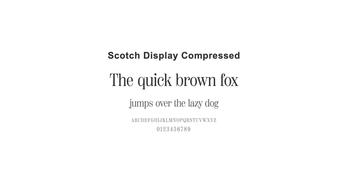 Scotch Display Compressedのサムネイル画像