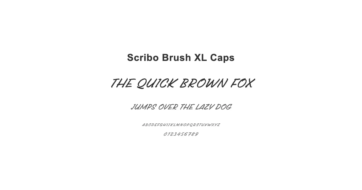Scribo Brush XL Capsのサムネイル画像