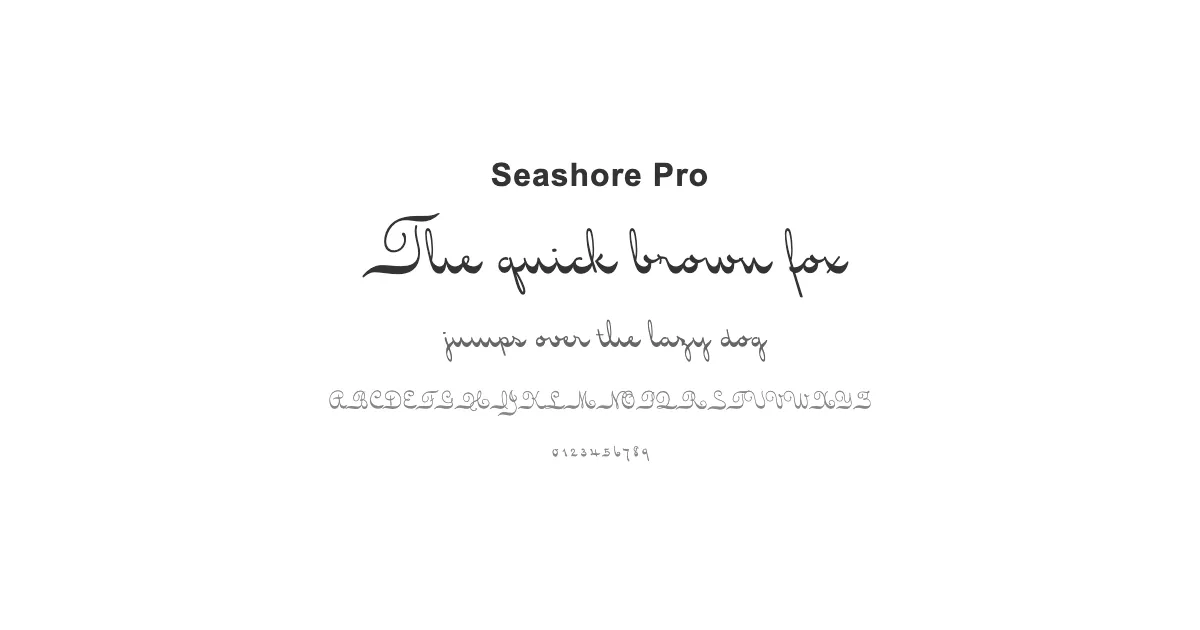 Seashore Proのサムネイル画像