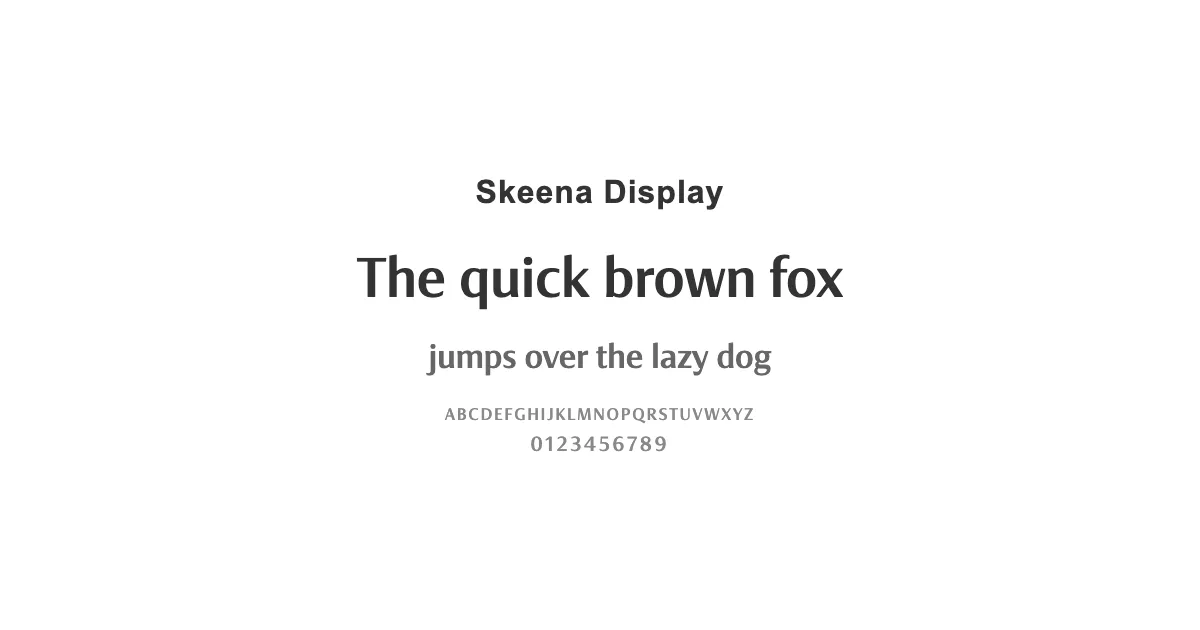 Skeena Displayのサムネイル画像