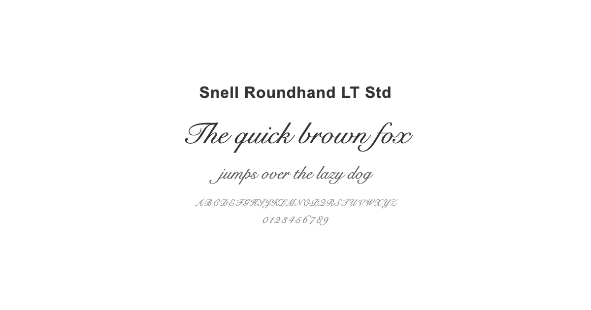 Snell Roundhand LT Stdのサムネイル画像
