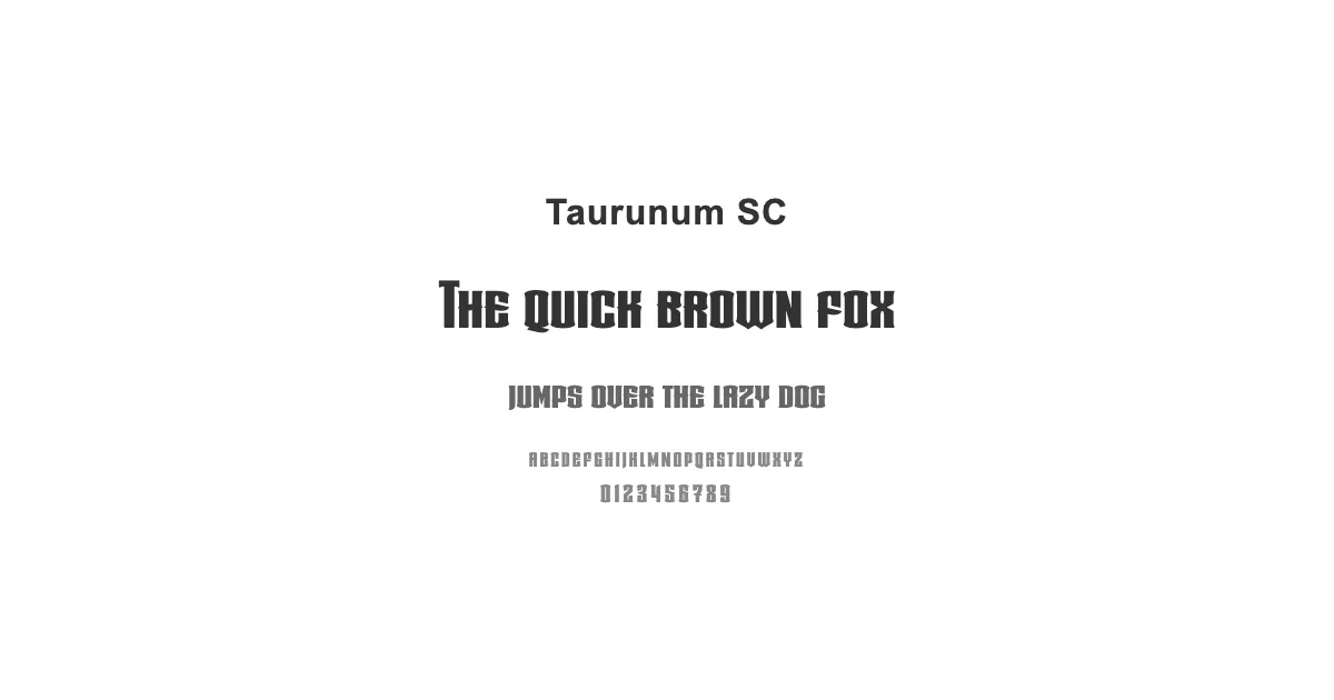 Taurunum SCのサムネイル画像