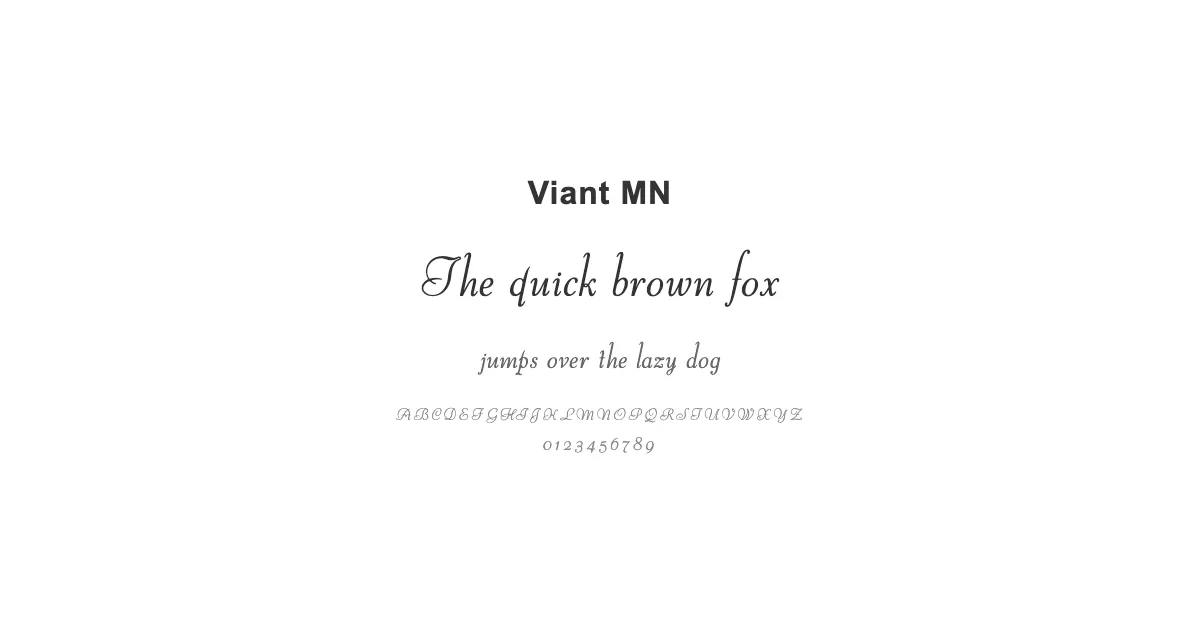 Viant MNのサムネイル画像