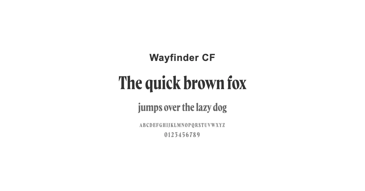 Wayfinder CFのサムネイル画像