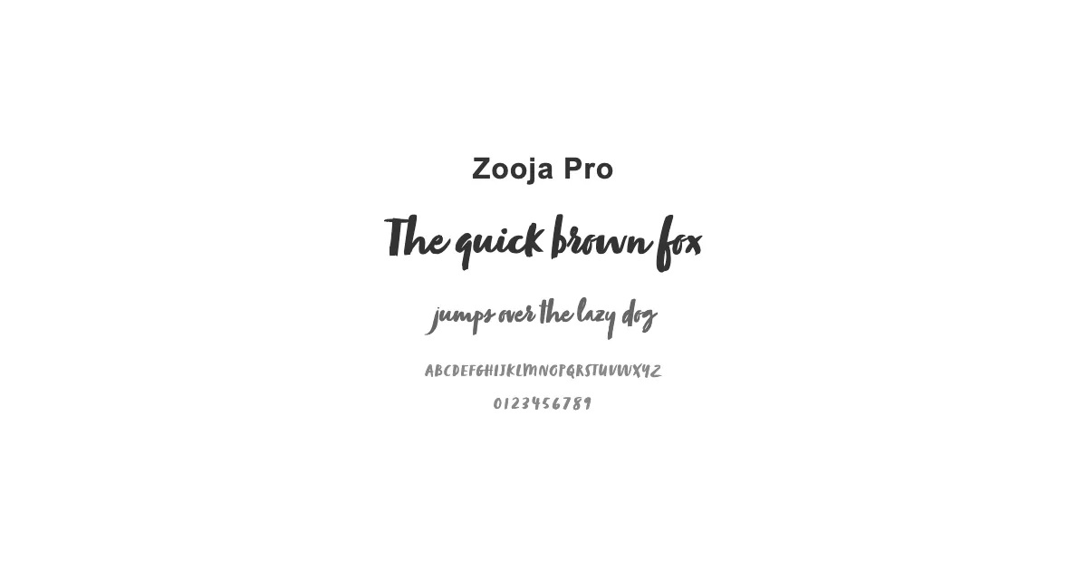 Zooja Proのサムネイル画像