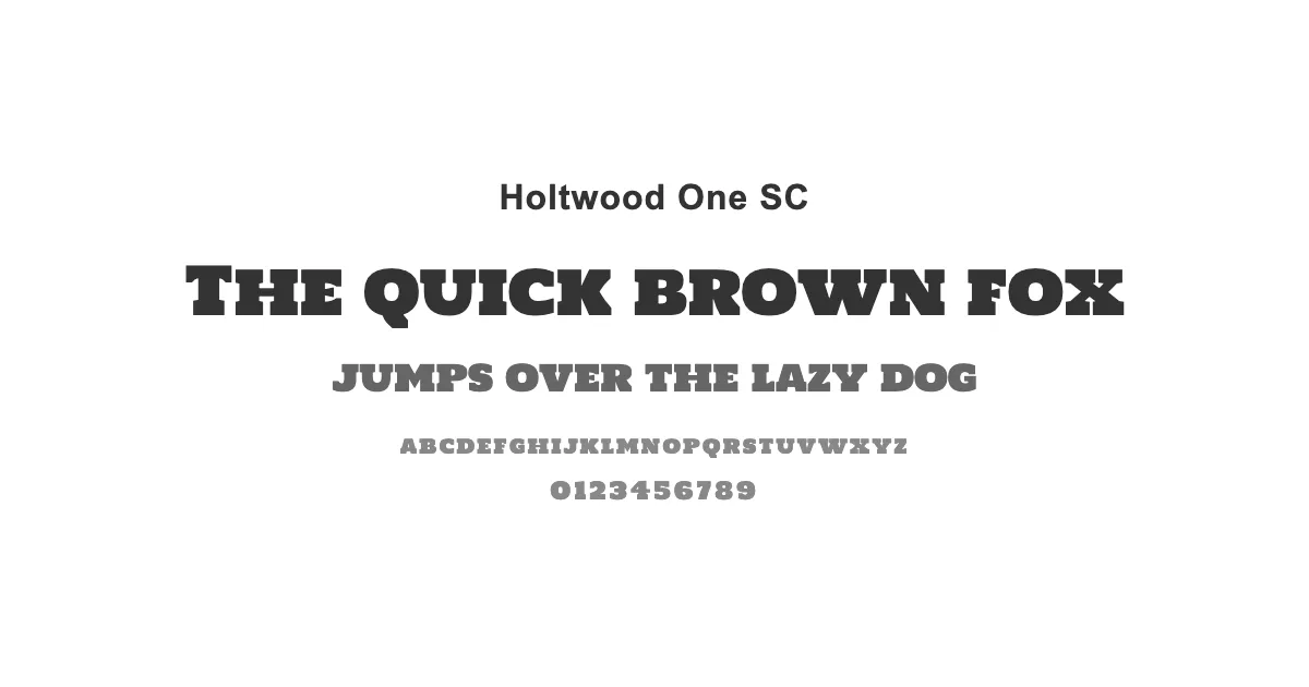 Holtwood One SCのサムネイル画像