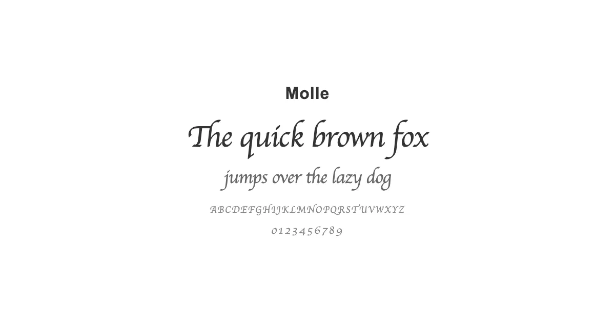Molleのサムネイル画像