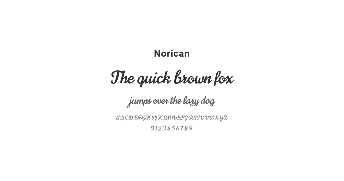 Noricanのサムネイル画像