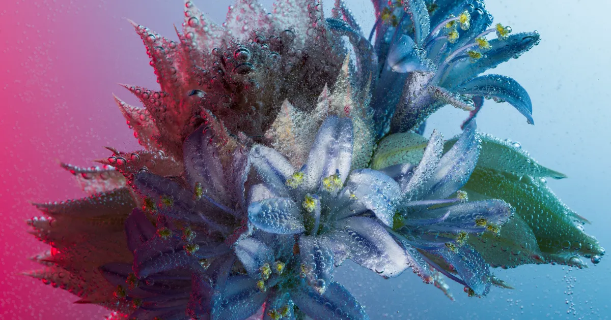 Affinity Photoのサムネイル画像