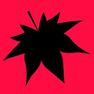 MOMIZizm MUSiCのサムネイル画像